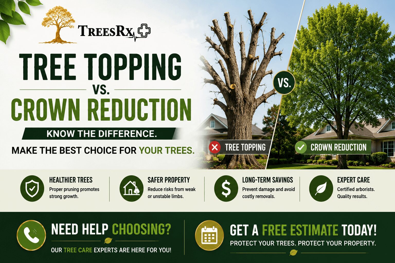 Tree Topping vs Crown Reduction Key Differences Explained
