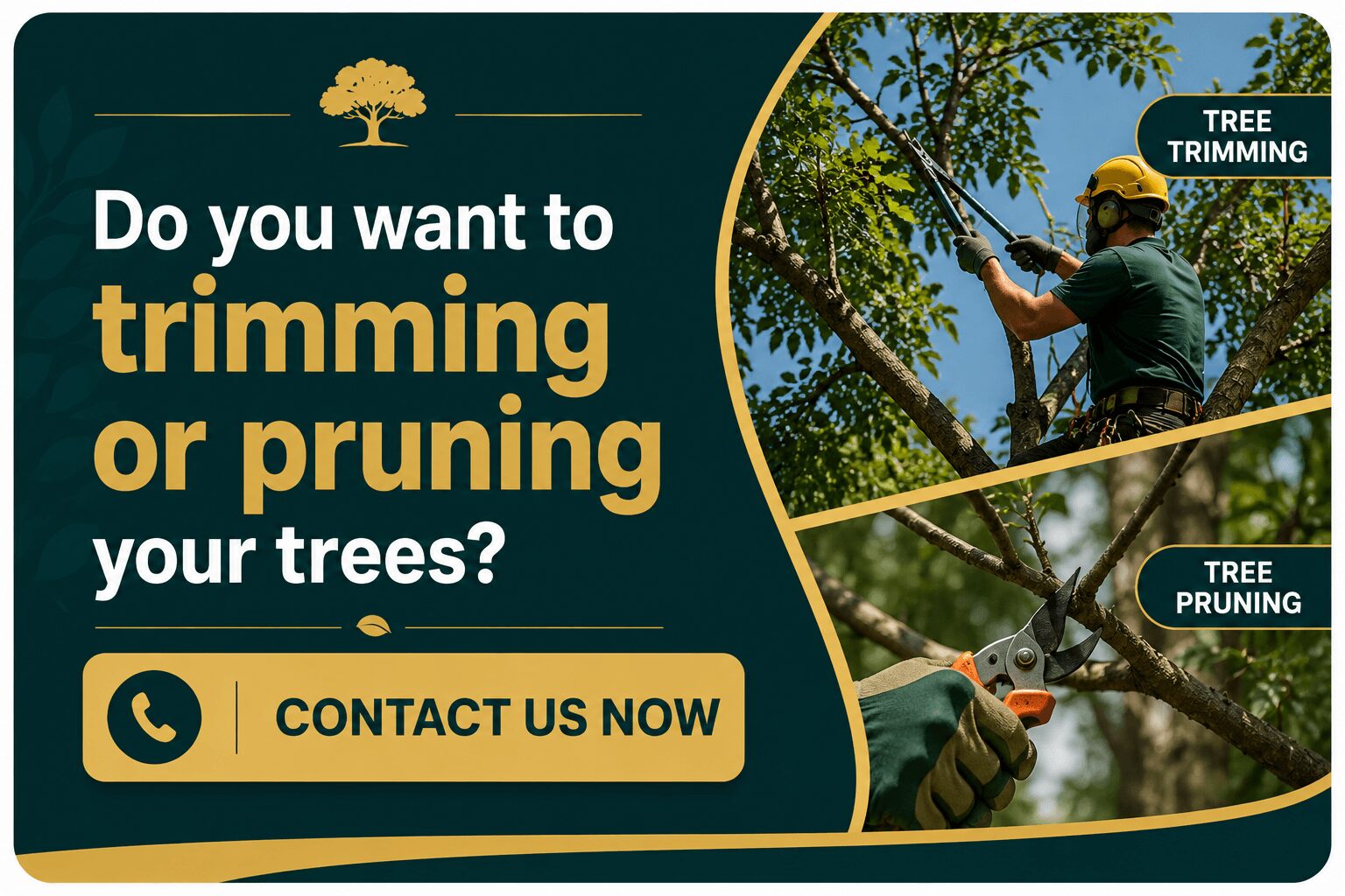 Tree Trimming vs tree pruning